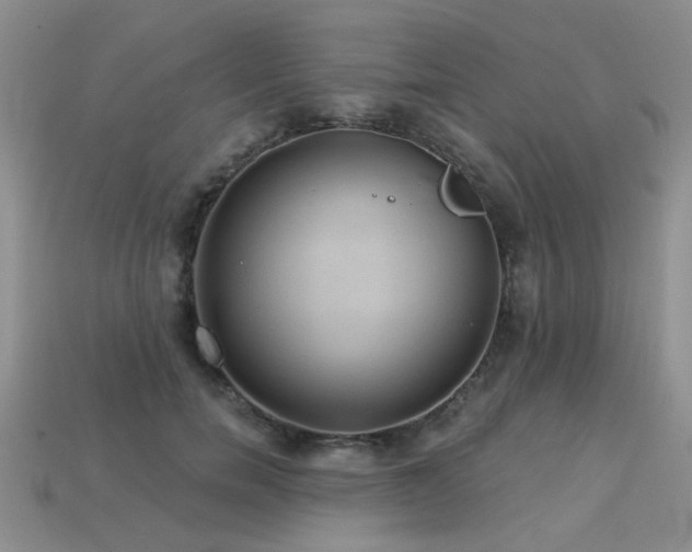 X0000113230750200909101211