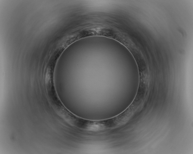 X0000113230754200909101211