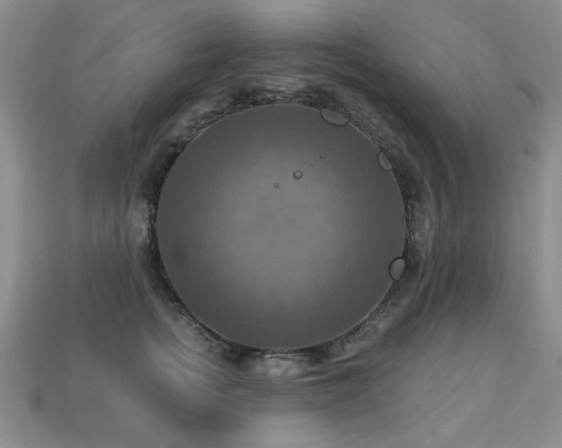X0000113230758200909101211