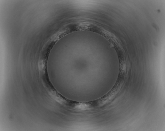X0000113230759200909101211