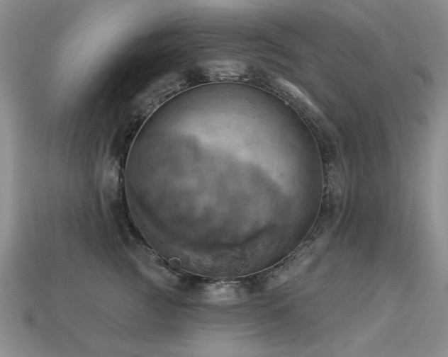 X0000113230761200909101211