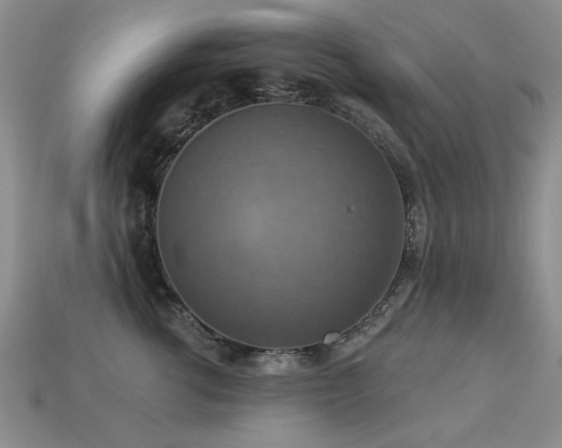 X0000113230762200909101211