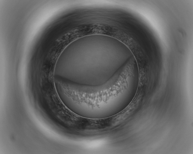 X0000113230765200909101211