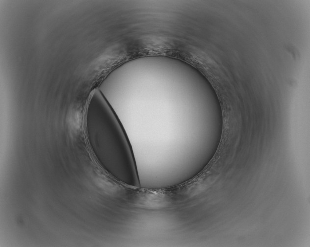 X0000113230768200909101211