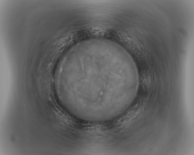 X0000113230769200909101210
