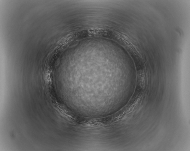 X0000113230770200909101210