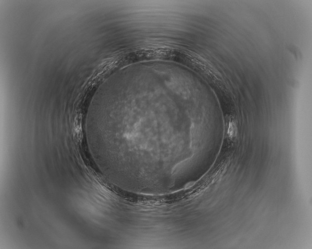 X0000113230771200909101210