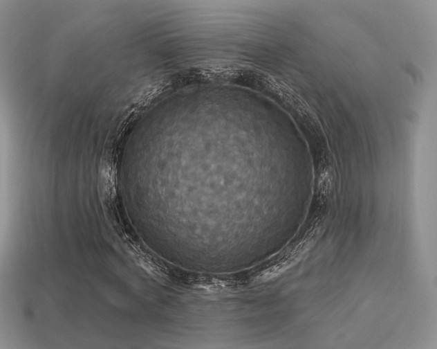 X0000113230772200909101210