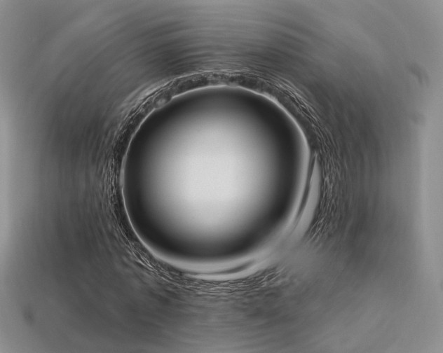 X0000113230773200909101210