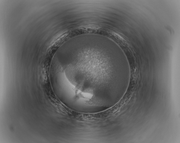 X0000113230774200909101210