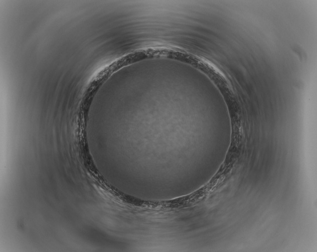X0000113230775200909101210