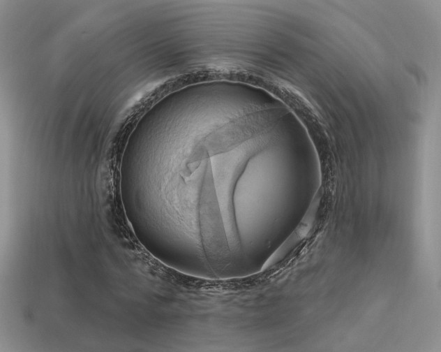 X0000113230776200909101210