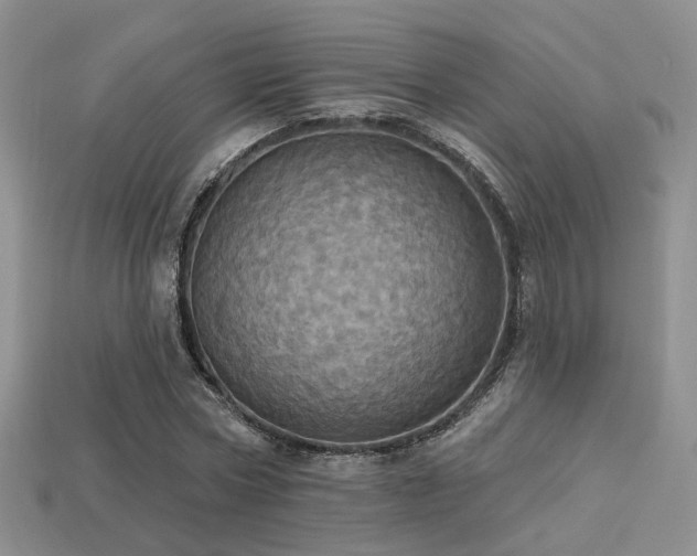 X0000113230778200909101210