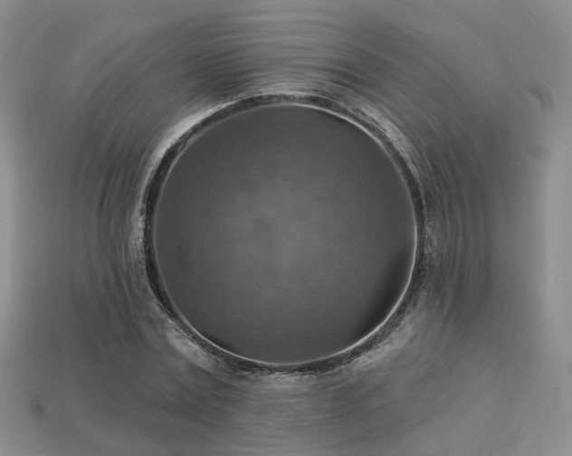 X0000113230779200909101210