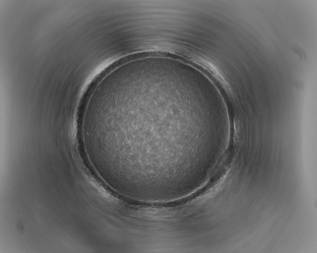 X0000113230780200909101210