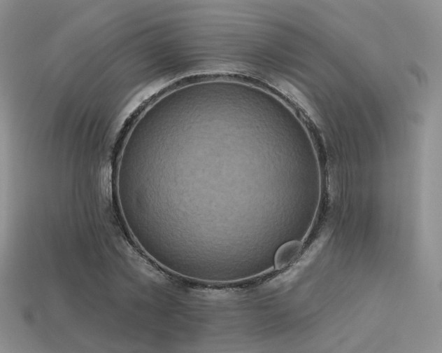 X0000113230781200909101210