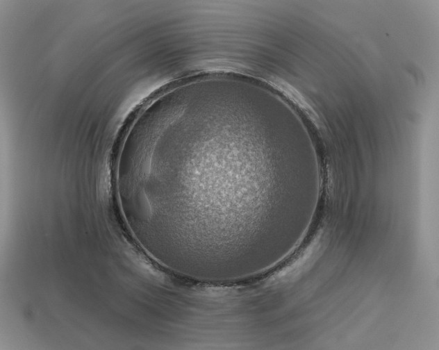 X0000113230782200909101210