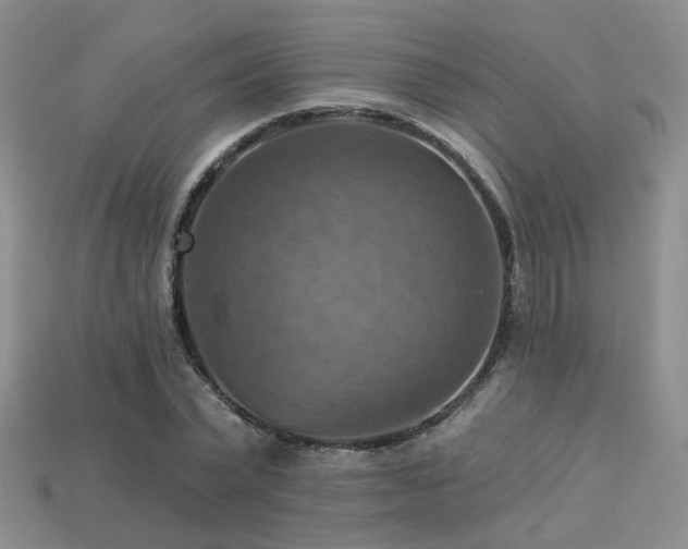 X0000113230783200909101210