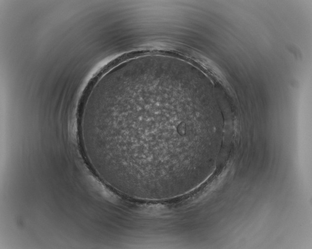 X0000113230784200909101210