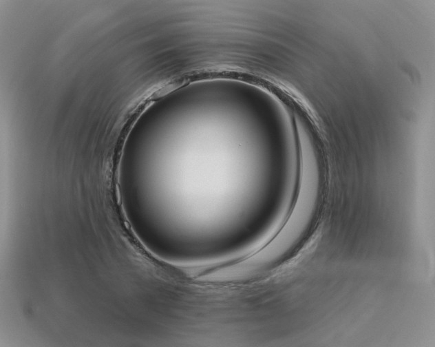 X0000113230785200909101210