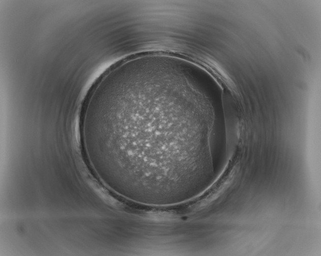 X0000113230788200909101210