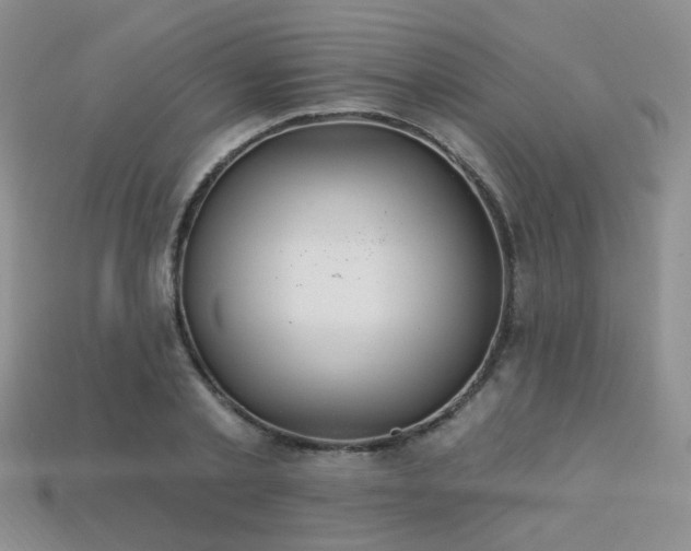 X0000113230789200909101210