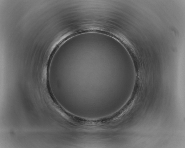 X0000113230790200909101210