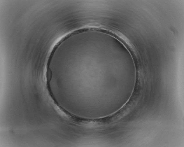 X0000113230791200909101210