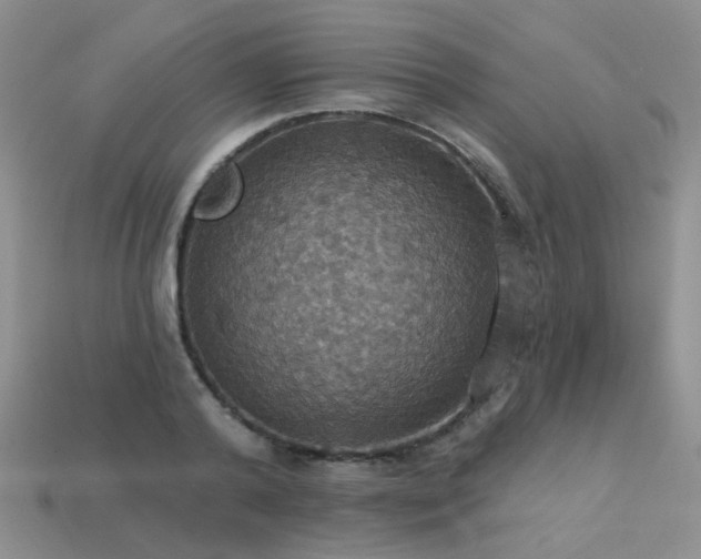 X0000113230792200909101210