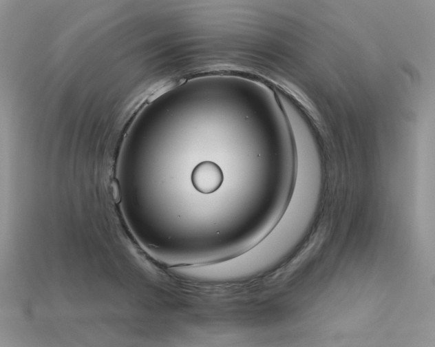 X0000113230793200909101210