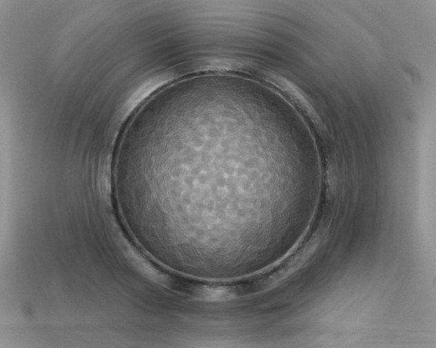 X0000113230794200909101210