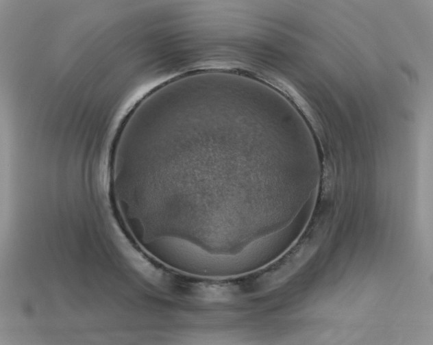 X0000113230795200909101210