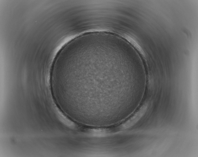 X0000113230797200909101210
