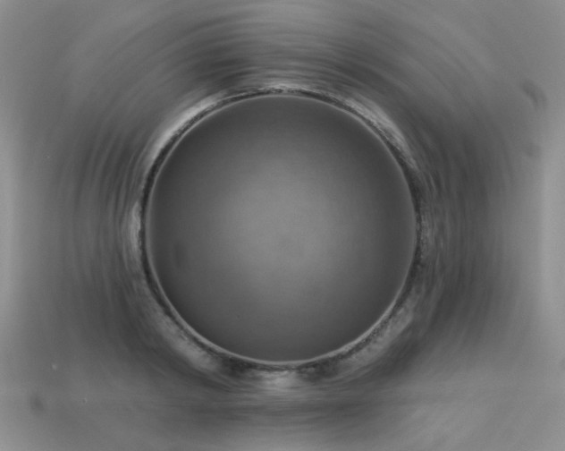 X0000113230798200909101210