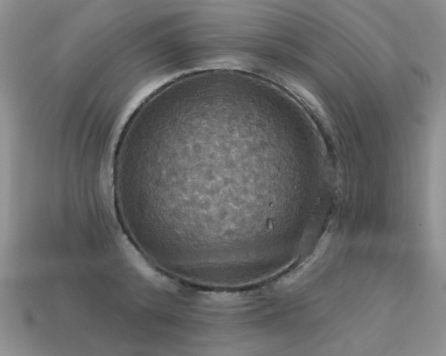 X0000113230800200909101210