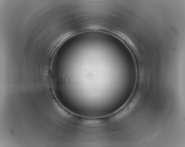 X0000113230801200909101210
