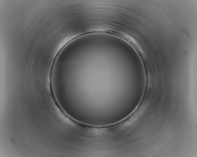 X0000113230802200909101210