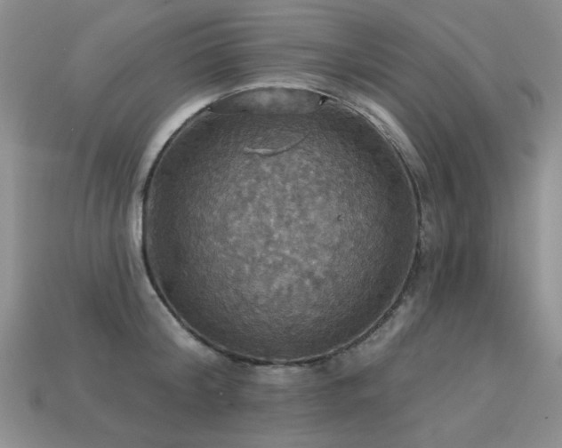 X0000113230804200909101210