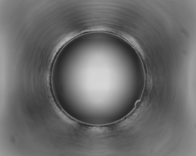 X0000113230805200909101210