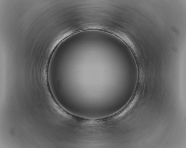 X0000113230806200909101210