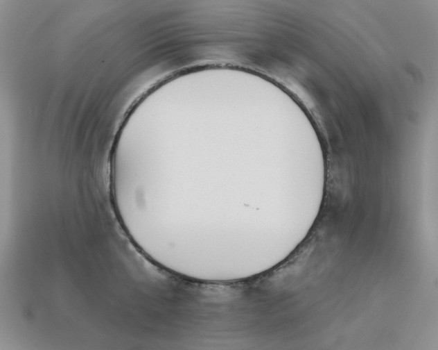 X0000113230807200909101210