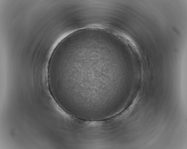 X0000113230808200909101210