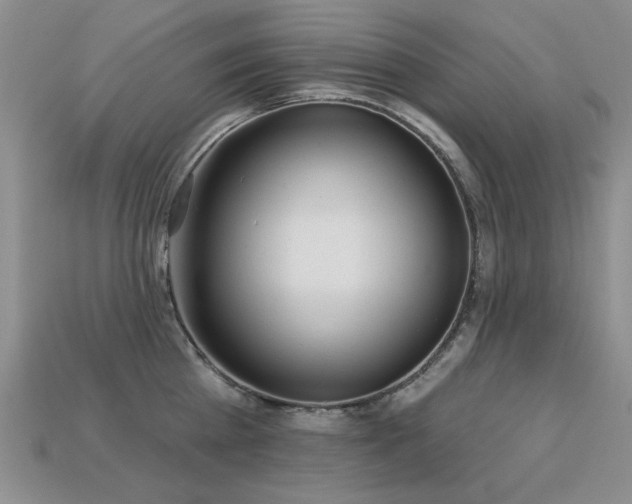 X0000113230809200909101210