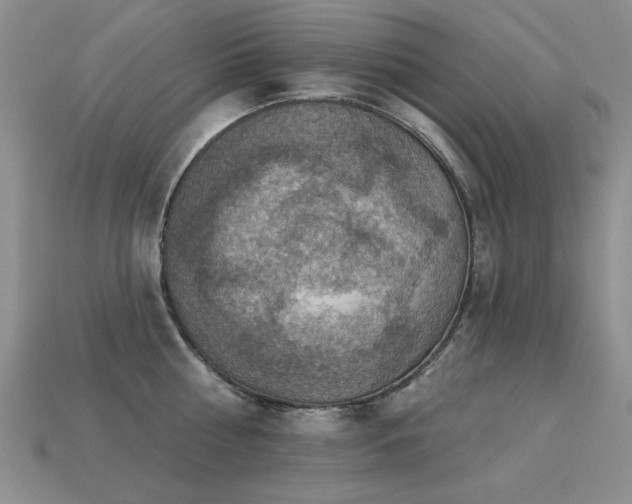 X0000113230810200909101210