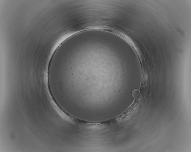 X0000113230811200909101210