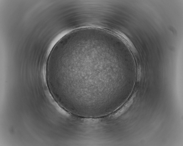 X0000113230812200909101210