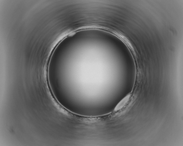 X0000113230813200909101210