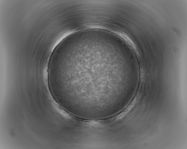 X0000113230814200909101210