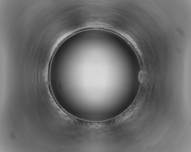 X0000113230815200909101210