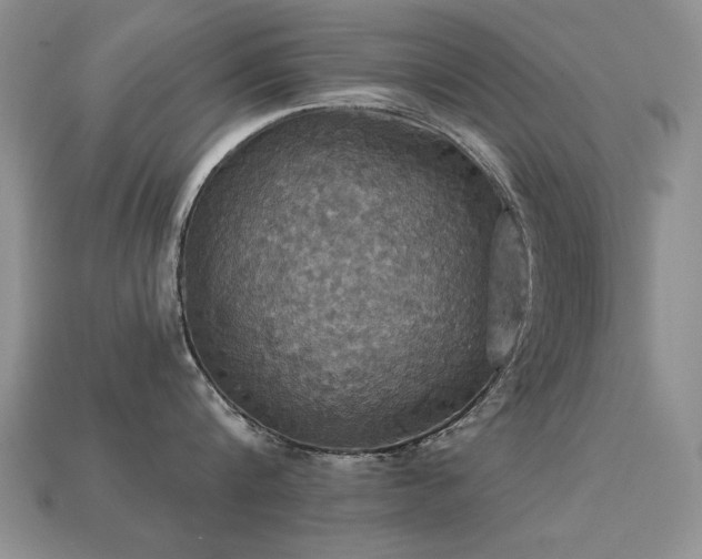 X0000113230816200909101210